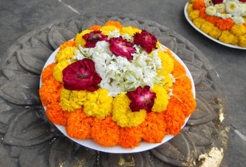 flowers flowers